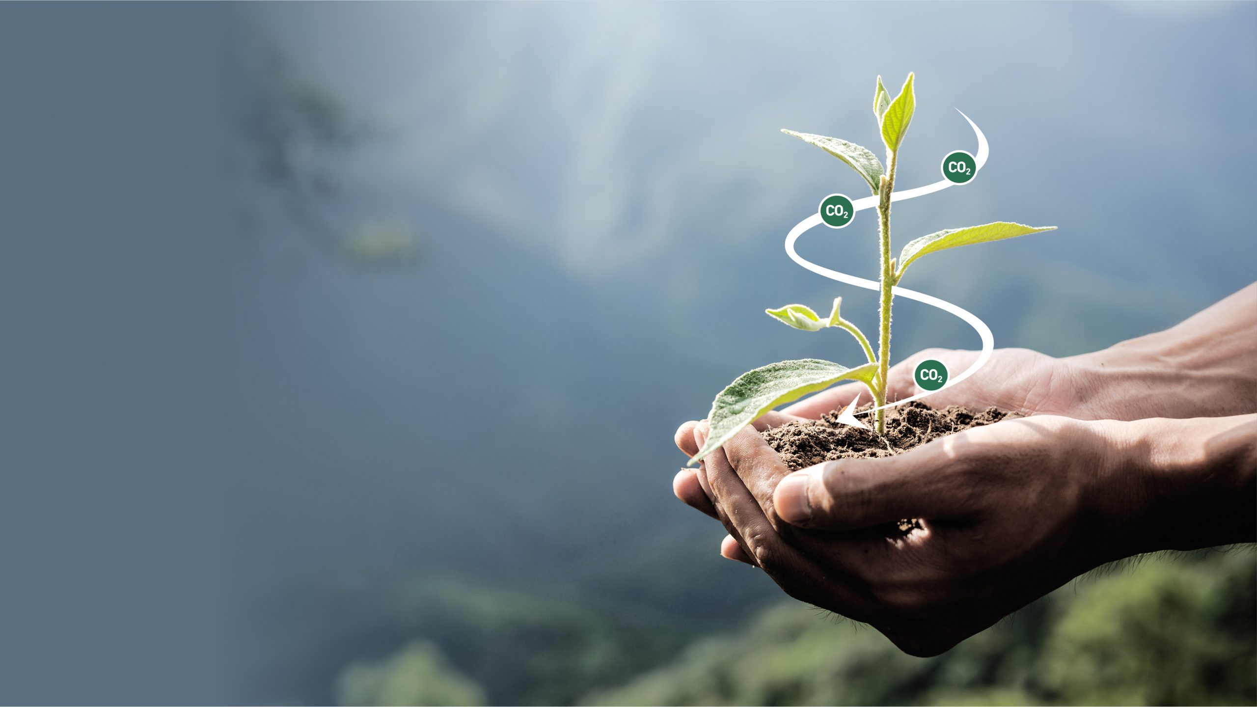 Transforming environmental challenges into opportunities for people, planet, and prosperity.