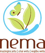 National Environment Management Authority (NEMA)